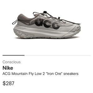 Nike ACG Mountain Fly Low 2 10